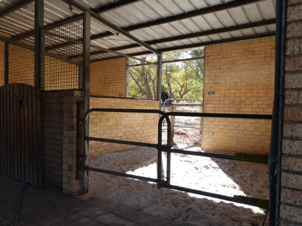 Horse Stables Amarillo Drive