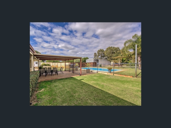 Back Garden